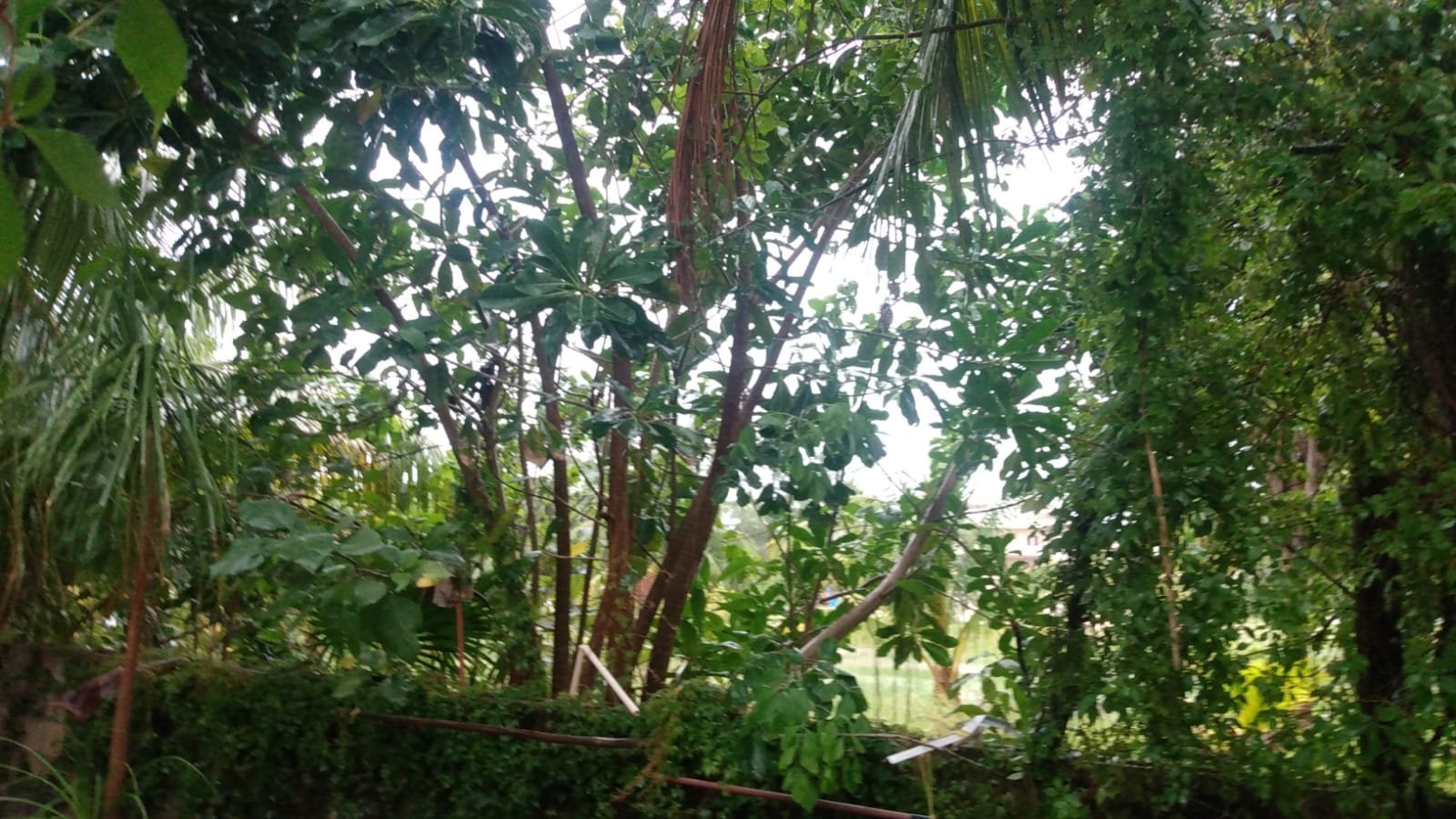 Holbox Location 3