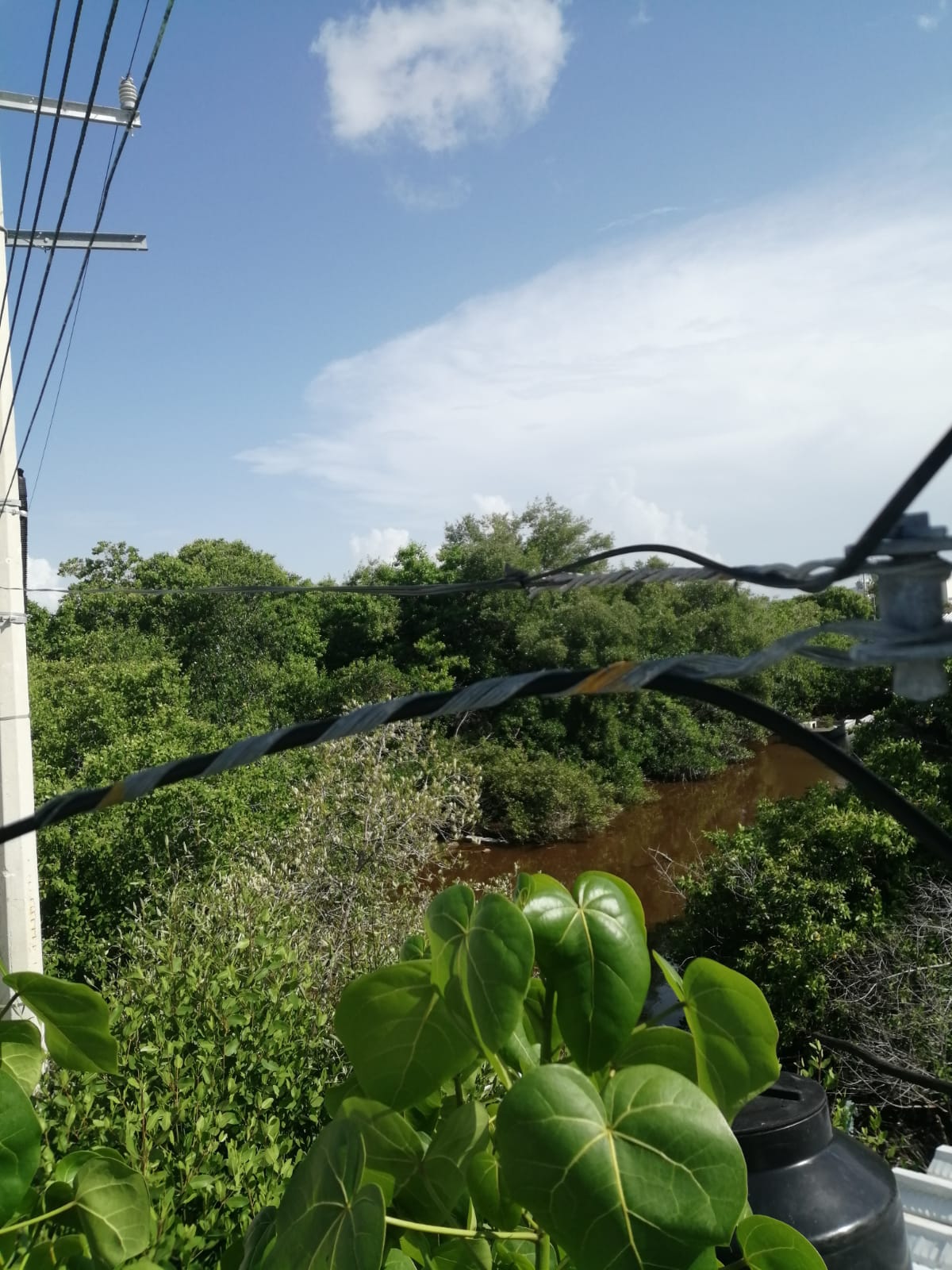 Holbox Location 4