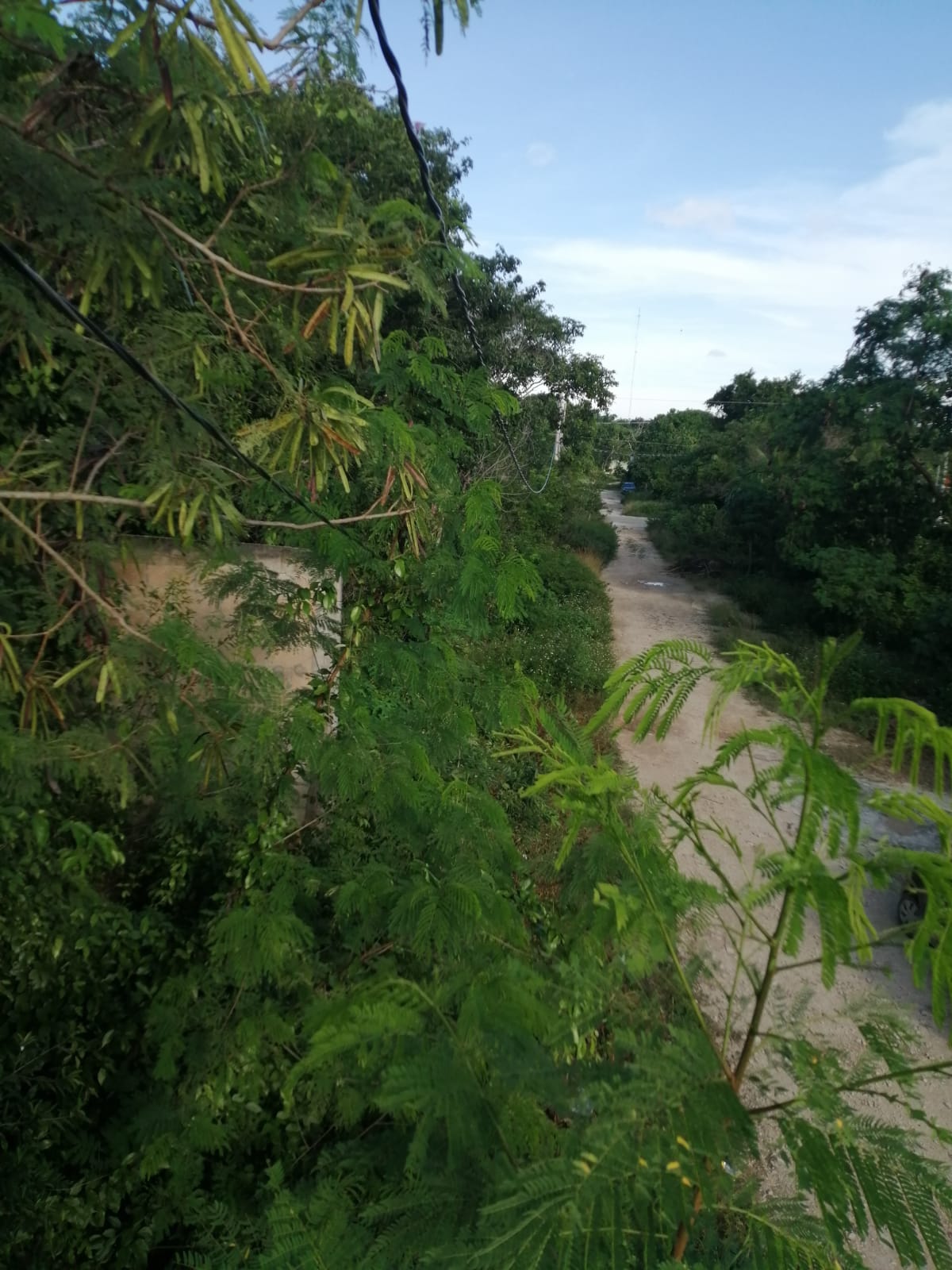 Pedregal Location 1